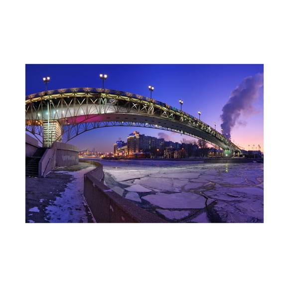 Canvas Wall Art - Vladislav Ponomarev 'Frozen' Wall Art for Living Room, Bedroom, or Office D?cor by Trademark Fine Art - 19 x 12 Inches