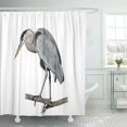 thumbnail image 1 of Cortina de Ducha ABPHQTO Gran Garza Azul 160x180 cm, 1 of 1