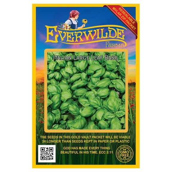 Everwilde Farms - 2000 Italian Large Leaf Basil Herb Seeds - Gold Vault Jumbo Bulk Seed Packet