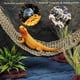 thumbnail image 2 of Juego de hamacas con forma de dragón barbudo de Kathson, puente de madera, 2 of 7