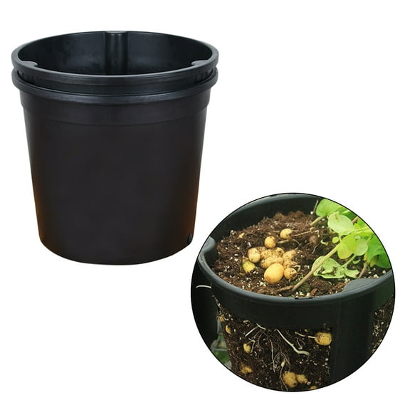 Worgeous Black Plastic Planter Boxes for Bonsai and Potted Plants Lightweight Dual Color Design