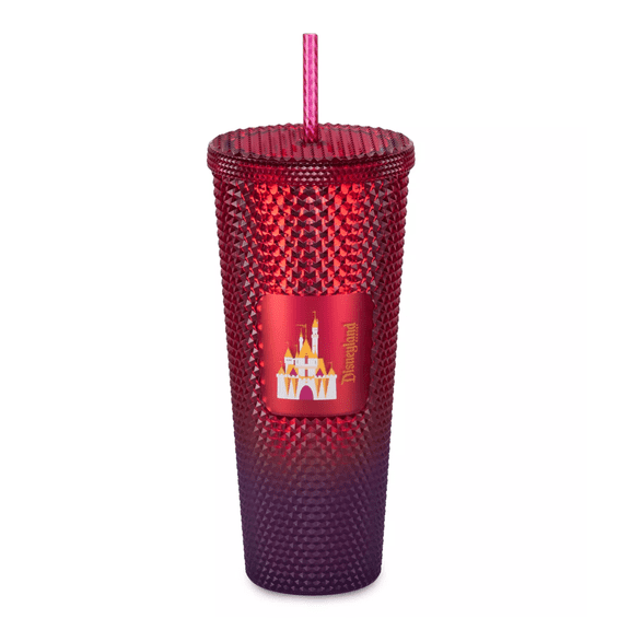 Disneyland  Sleeping Beauty Castle Geometric Red Tumbler Straw  24 Oz