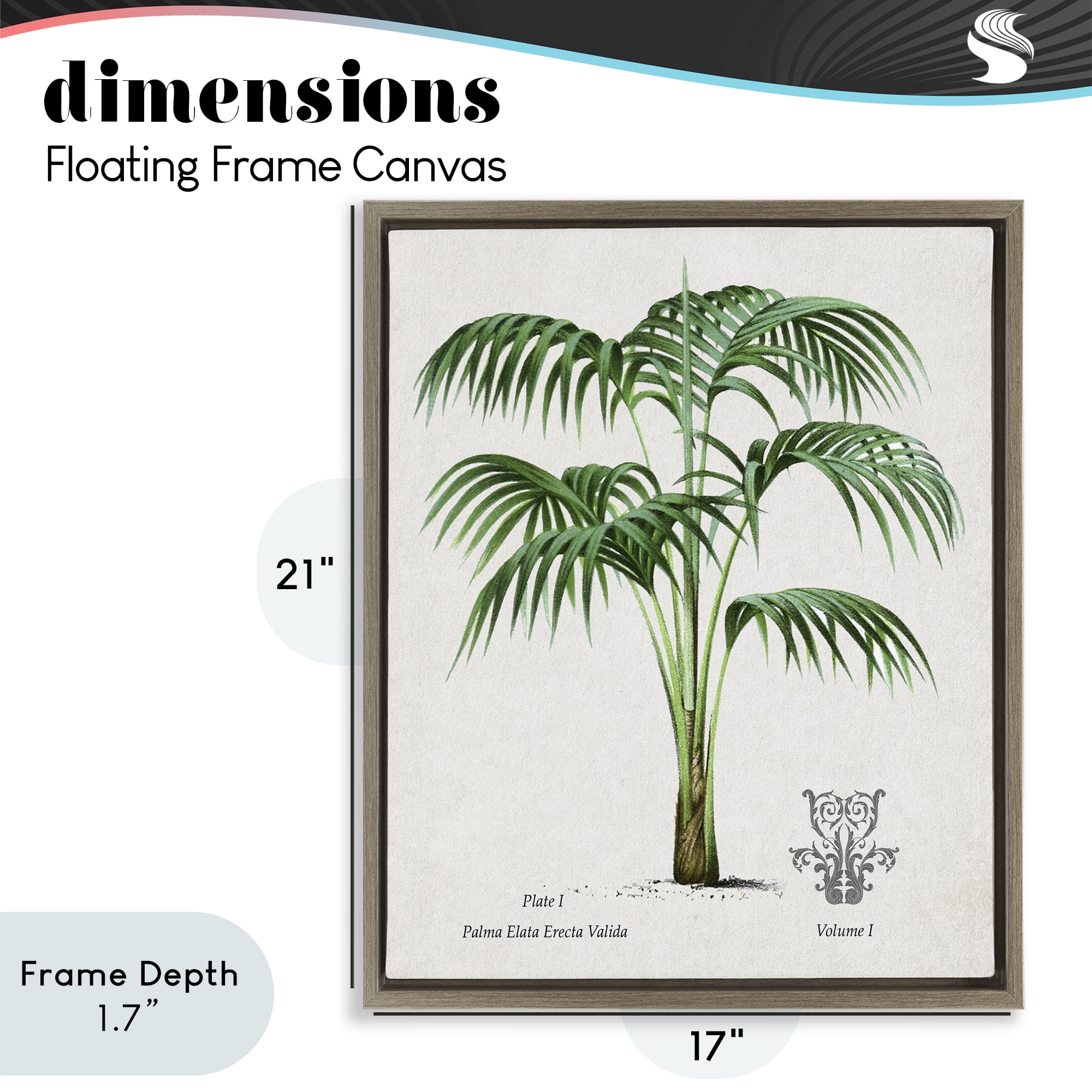 Stupell Industries Natural Palm Study Brown Framed Floater Canvas Wall Art, design by Val Rhodes