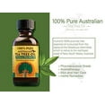 thumbnail image 2 of Humco 481791001 100% Pure Australian Tea Tree Oil, 1-PACK, 2 of 3