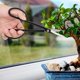thumbnail image 4 of Clad Steel Bonsai Scissors Bonsai Shear Long Handle Scissors 210mm, 4 of 5