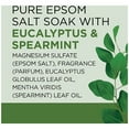 thumbnail image 3 of Dr. Teal's Epsom Salt Soaking Solution Eucalyptus, Spearmint 3.0 lb Pack of 2, 3 of 4