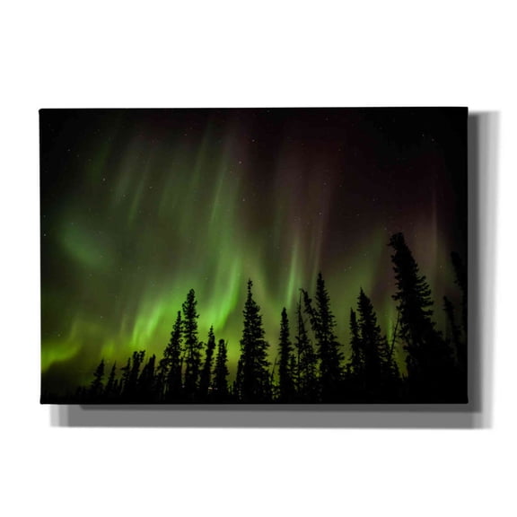 Epic Graffiti 'Northern Lights 2' by Epic Portfolio, Giclee Canvas Wall Art, 26"x18"