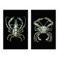 thumbnail image 2 of Fab Funky 14x12 Gold Ornate Wood Framed with Double Matting Museum Art Print Titled - Crabs On Black in 2 panels, 2 of 4