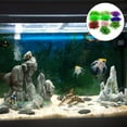 thumbnail image 4 of CHICHUMID 10Ud Simuladas Para Acuario Con Base De Cerámica Paisajística, 4 of 5