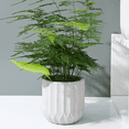 thumbnail image 4 of Plant Pot Watering Device Set, Plant Pot Irrigation Watering Drip Devices, 4 of 5
