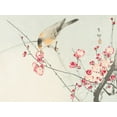 thumbnail image 2 of Koson, Ohara 32x25 Black Ornate Wood Framed with Double Matting Museum Art Print Titled - Songbird on blossom branch, 2 of 4