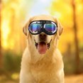 thumbnail image 5 of Lunettes de Soleil pour Chien avec Sangle Réglable pour Voyage Ski et Anti-Buée Lunettes de Neige pour Animaux, 5 of 5