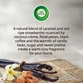 thumbnail image 6 of Air Wick Vibrant Plug-In Scented Oil Air Freshener Warmer Refills, Vanilla and Warm Caramel, 5 Count, 6 of 6