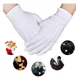thumbnail image 1 of 10pz Guantes Blancos Algodón Para Escolta, Mesero, Chambelan, 1 of 4