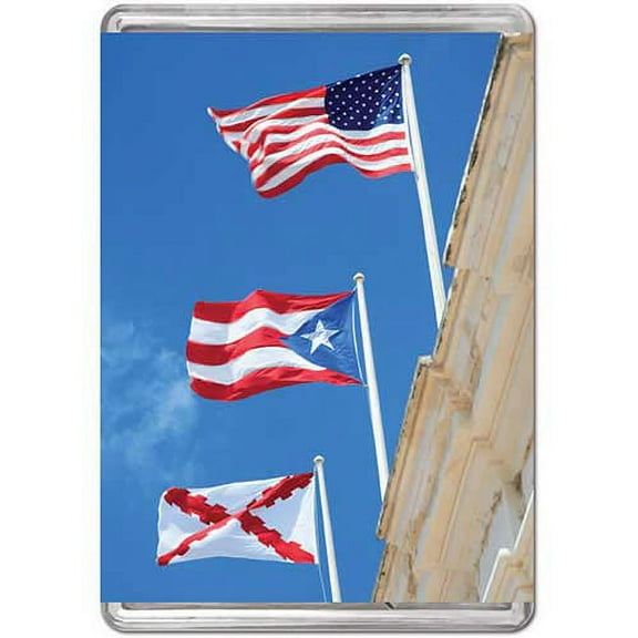 Flags of Puerto Rico, a 140-piece Puzzle by Pigment & Hue