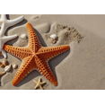 thumbnail image 4 of LUUFILx Beach Themed Starfish Shells Banner Background Party Decorations, 4 of 8