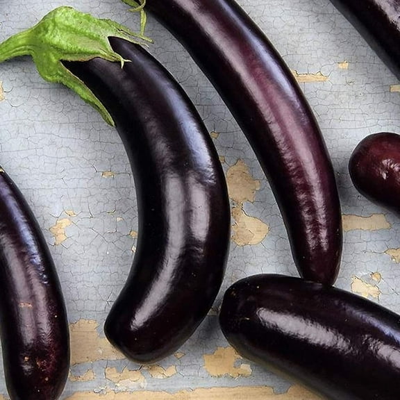 Little Finger Purple Eggplant Seeds - 250 Mg Packet ~55 Seeds - Heirloom, Open Pollinated, Non-GMO, Farm & Vegetable Gardening Seeds
