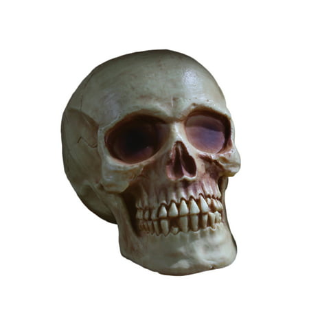 Fun World Scary Halloween Skull with Jaw Table Decoration, 8