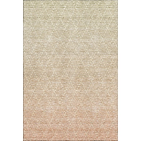 Dalyn Rugs Premium Machine Washable Mayfield AMF1175 Salmon 3' x 5' Rug