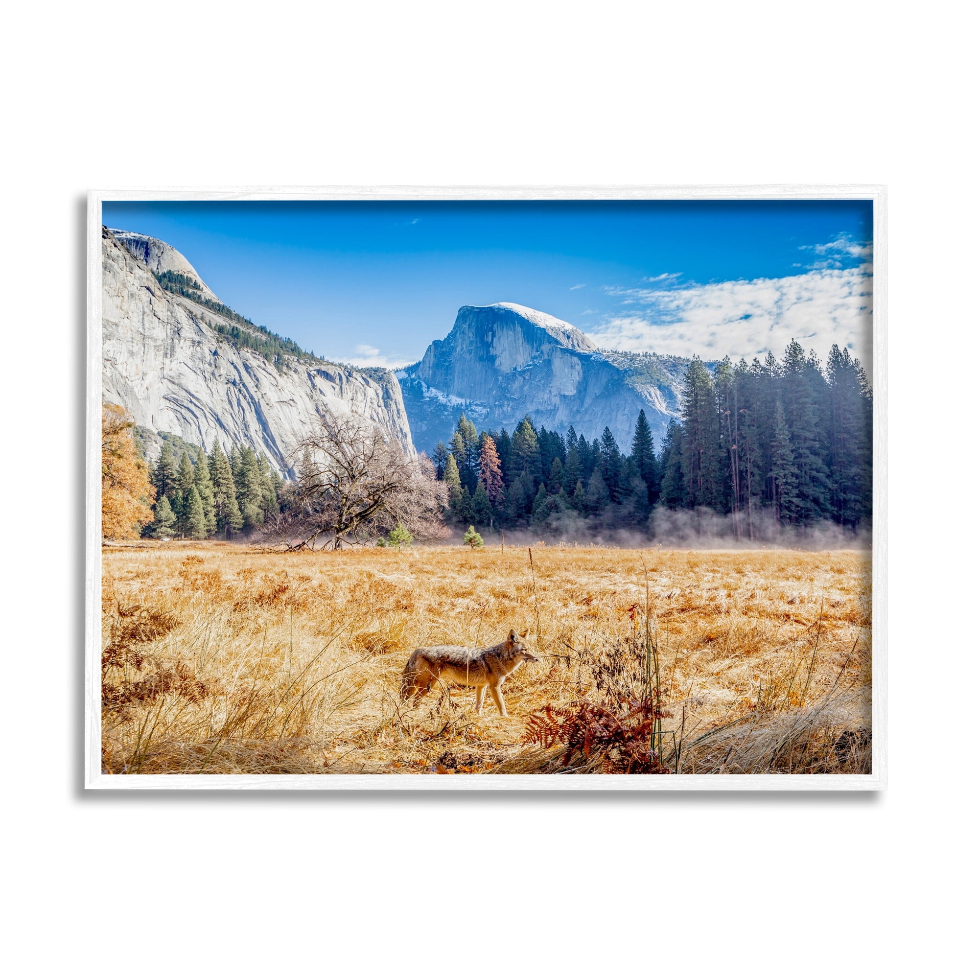 Stupell Industries Wolf Grazing Rural Grassland Clear Sky Mountains Photograph White Framed Art Print Wall Art, Design by Jeff Poe Photography