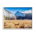 thumbnail image 4 of Stupell Industries Wolf Grazing Rural Grassland Clear Sky Mountains Photograph White Framed Art Print Wall Art, Design by Jeff Poe Photography, 4 of 5