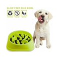 thumbnail image 1 of JinsintoSlow Feeding Dog Slow Feeder Bowl Non-slip Design Fun Interactive Feeding Dogs, 1 of 5