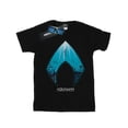 thumbnail image 1 of DC Comics T-Shirt de Garçon Femme Aquaman Ocean Logo Coton, 1 of 3