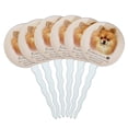 thumbnail image 1 of Pomeranian Dog Breed Cupcake Picks Toppers Decoration Set of 6, 1 of 7