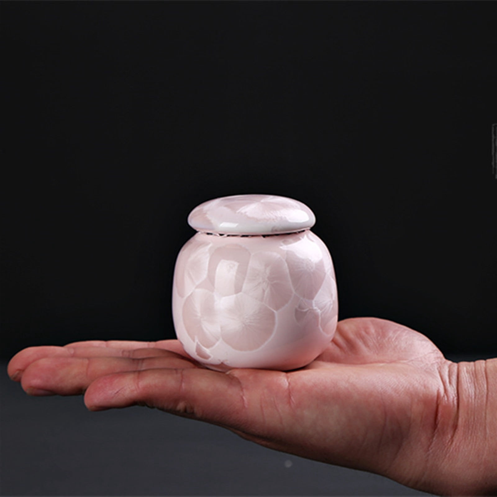 For Dogs Cats Ashes Keepsake Memorial Box Funeral Set Burial Urns For Cremated Remains Ash Vial Adult Funeral Urn Pet Cat And Dog Urn 24352