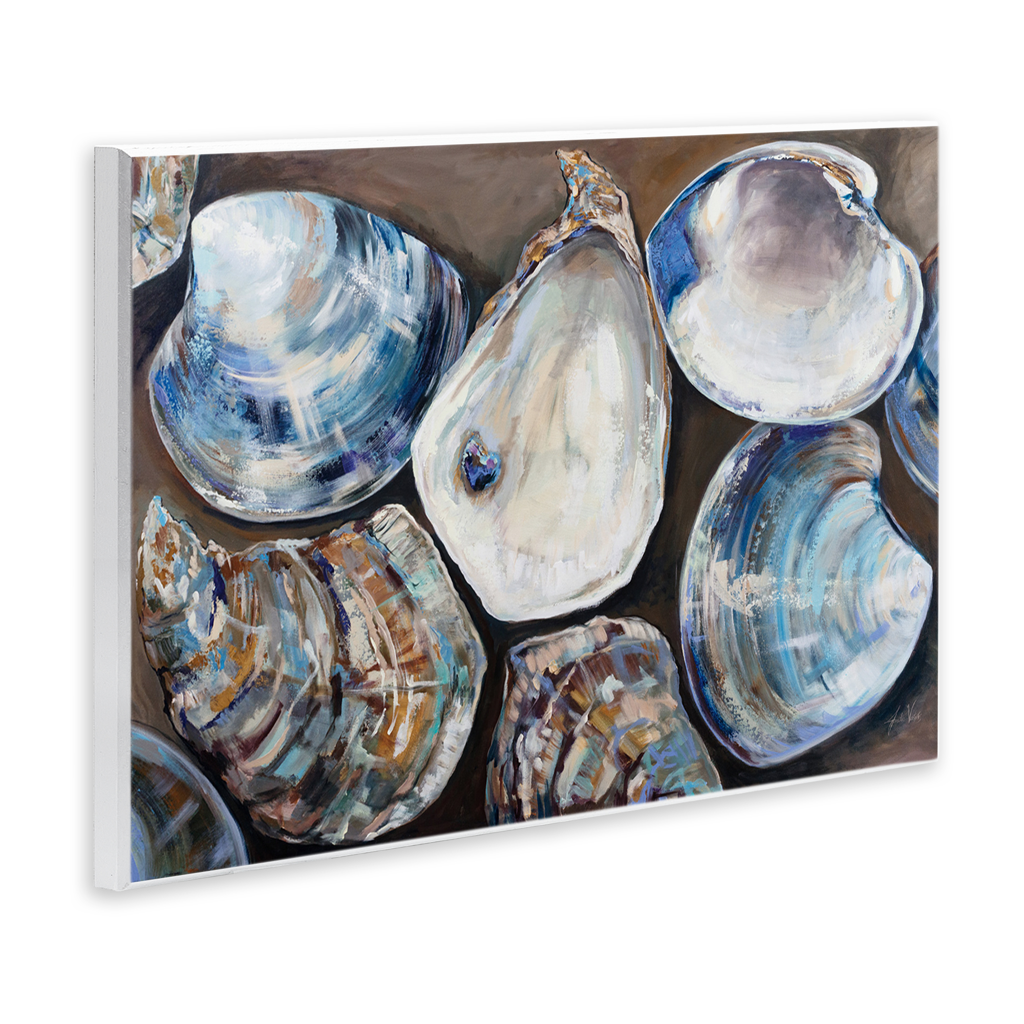 Stupell Industries Varied Seashell Shucks Animals & Insects Painting Unframed Art Print Wall Art, 15 x 10