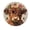 FFclock035, variant on ZXCXRQFa Desk Clocks Monkey In The Bathtub Round Wood Wall Clock, 10 Inch Battery Operated Analog Quiet Desk Clock for Home,Kitchen,Office,School,Bathroom