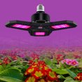 thumbnail image 3 of Lampe de Croissance des Plantes Pliable à Base E27 85-265V avec Spectre Rouge et Bleu, 108 Perles LED (24 Rouges + 12 Bleues) x3, Matériau ABS+PC, Haute CRI>80 pour Semis d'Intérieur, Succulentes, Fruits, Légumes, 3 of 6