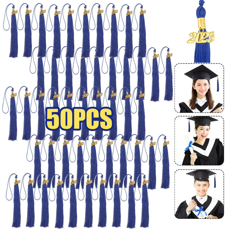 30 Pcs 2023 Graduation Cords Honor Cord with Tassels for College Graduation  Students Bachelor Master Doctor Grad Decor(Black Blue)