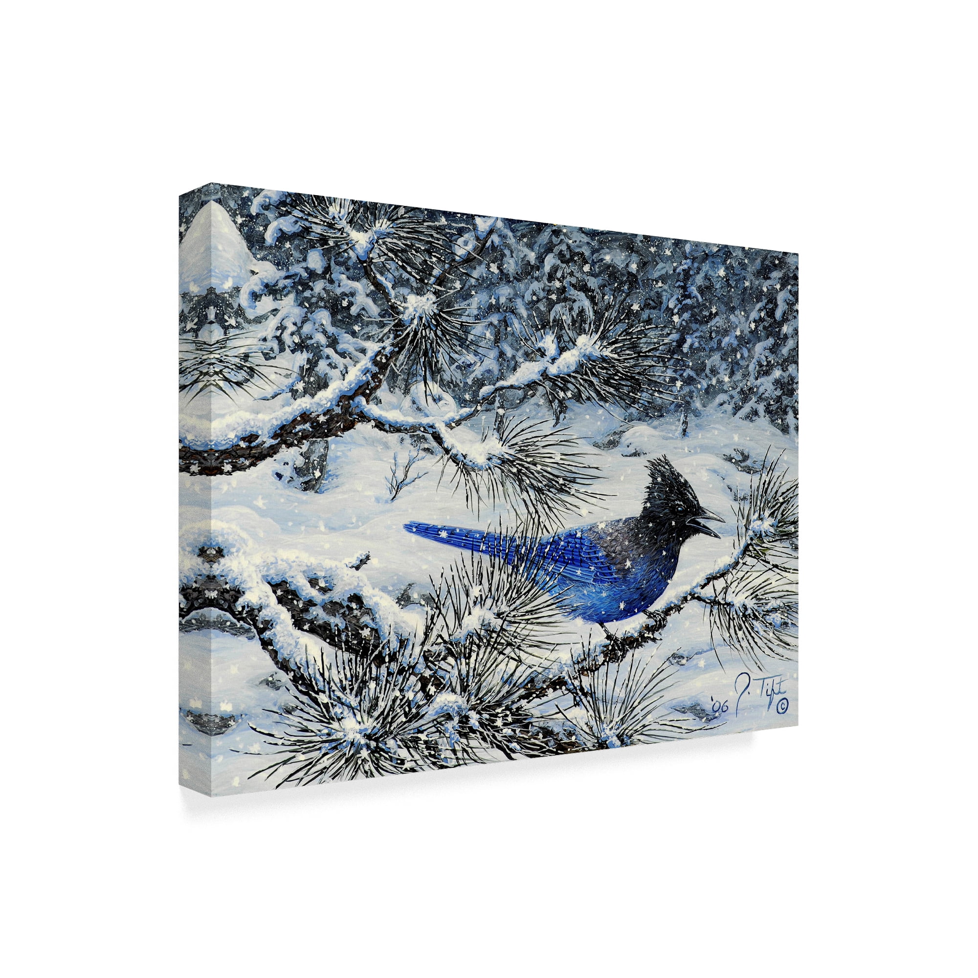 Trademark Fine Art 'Winter Jay' Canvas Art by Jeff Tift