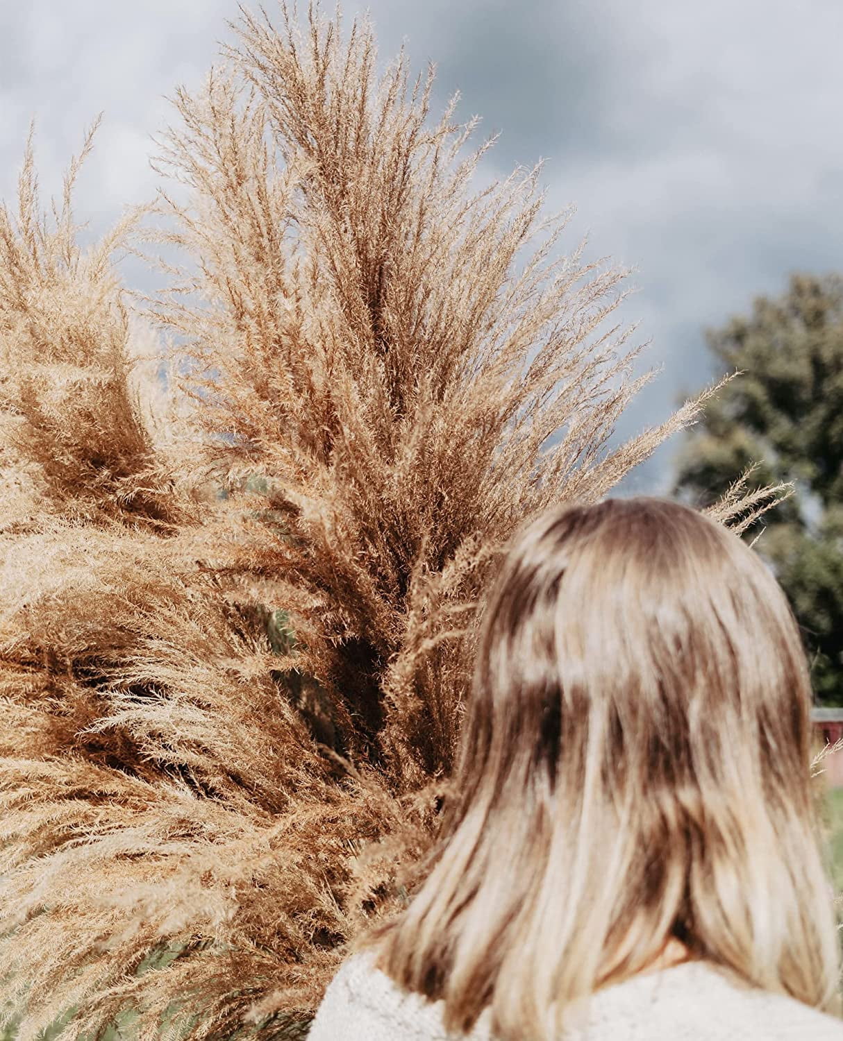 46" inch 10 Stems Natural Pampas Grass Decor Tall, Pompas Grass, Tall Pampas Grass for Weddingm, Farmhouse,  Home Decor (Brown)