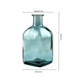 thumbnail image 3 of Transparent Creatives Hydroponic Glass Bottle Table Home Crafts Ornaments Flower Device, 3 of 5