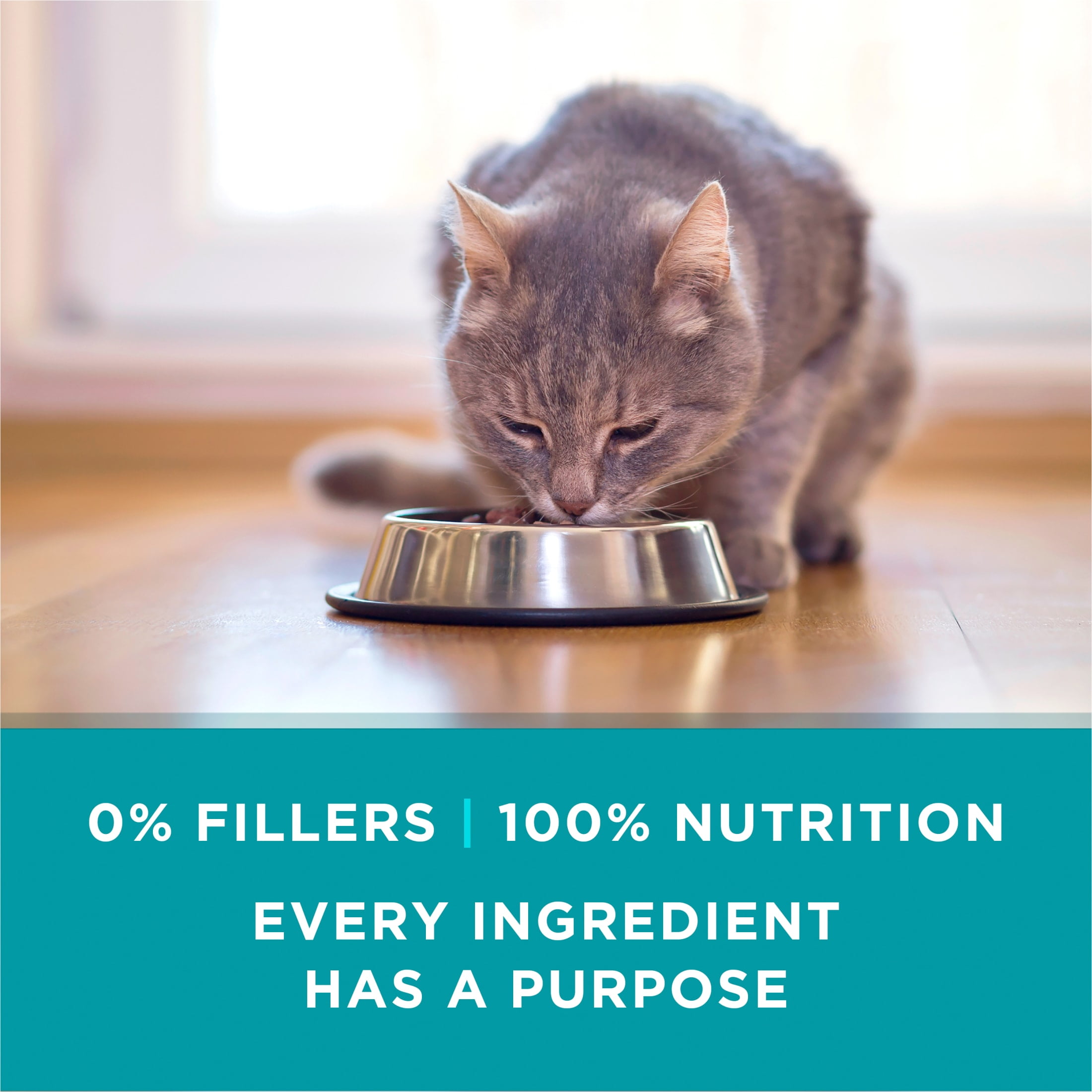 Purina ONE Natural, High Protein Wet Cat Food, Tuna Recipe in Sauce