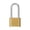 Long gold, variant on TIERPOP Zines Alloy Combination Lock Solid Body with Stylish Steel Shackles Portable Accessory for Multipurpose Security