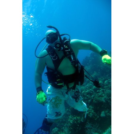 Canvas Print Retired Army Staff Sgt. Thomas Davis with Soldiers Undertaking Disabled Scuba dives off Blue Beach a Stretched Canvas 10 x (Best Scuba Diving In St Thomas)