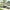 Beige,with Canopy, variant on Outdoor Daybed, Patio PE Rattan Daybed with Four-Sided Canopy and Overhead Curtains, Seating Sofa Set w/Adjustable Seat and Cushions, Wicker Furniture Set for Poolside Backyard Garden Lawn