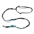 thumbnail image 1 of Laisse pour Chien Rétractable Automatique Durable Rotation Libre à 360 Degrés Confort Antidéflagrant Laisse pour Chien Rétractable 360 Ruban en Nylon Solide, 1 of 8