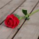 thumbnail image 2 of unbranded 10Ud Flores De Seda Artificiales Para De Fiesta Y Con Tallo, 2 of 8