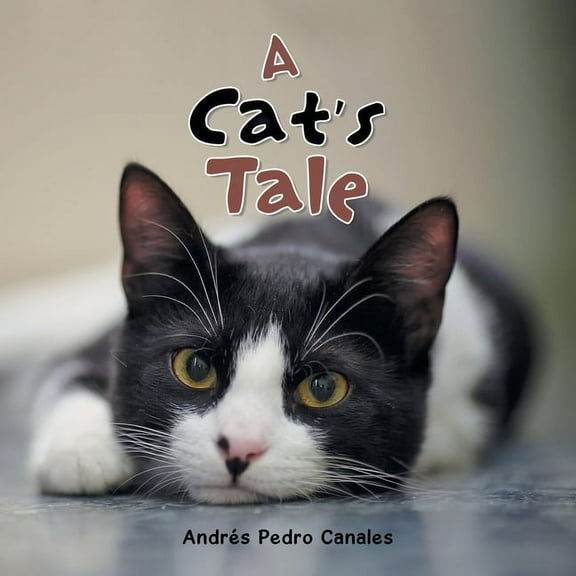 A Cat's Tale, (Paperback)