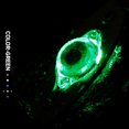 thumbnail image 1 of Langgg Fishing Lure Light Eye Shape Fluorescent Underwater Bait Metal Plastic Tackle Rotating Electronic Shad Deep Drop Fish Green Light, 1 of 6