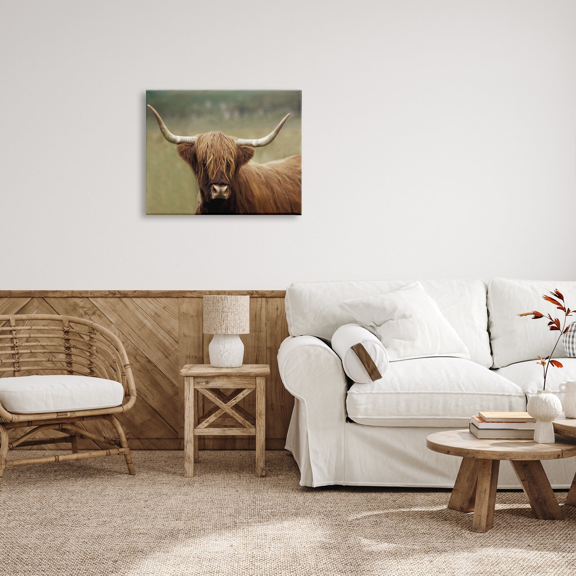 Stupell Industries Highland Cattle Shaggy Hair Country Animal Portrait Photography, 30 x 24, Design by Danita Delimont