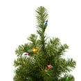 thumbnail image 2 of Vickerman 30" Felton Pine Artificial Christmas Tree, Multi-Colored Lights, 2 of 2