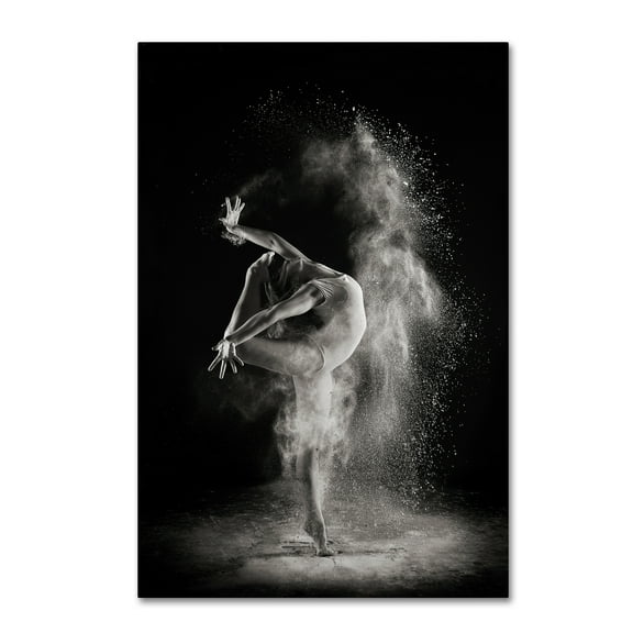 Shades And Light 'In The Light' Canvas Art