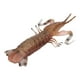 thumbnail image 3 of Modelo De Animal Marino Simulación De Plástico ANGGREK Modelo De Camarón Mantis, 3 of 8