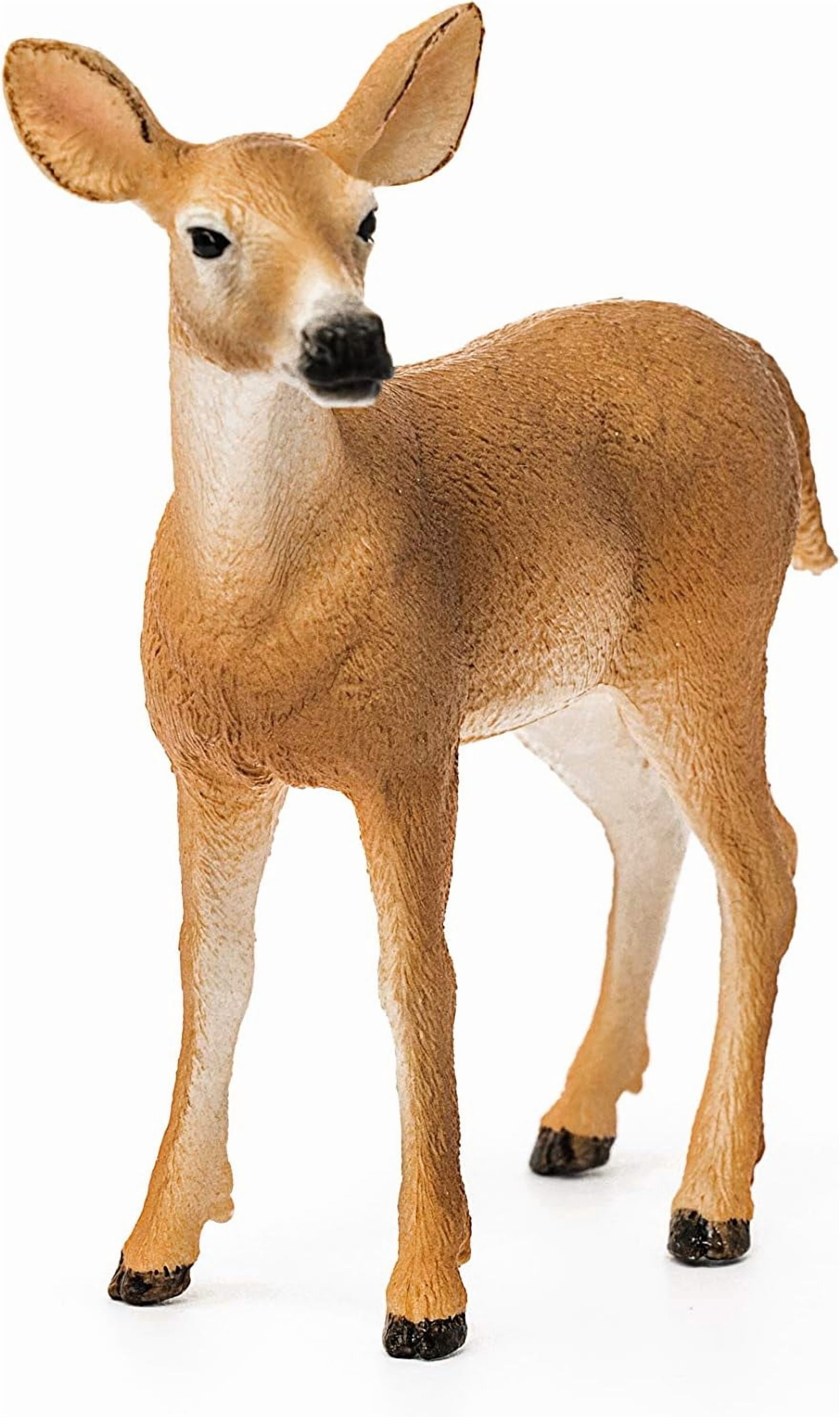 Schleich Wild Life -White-Tailed Doe Deer Figurine - Forest Animal Figures for Boys and Girls - Kids Ages 3+