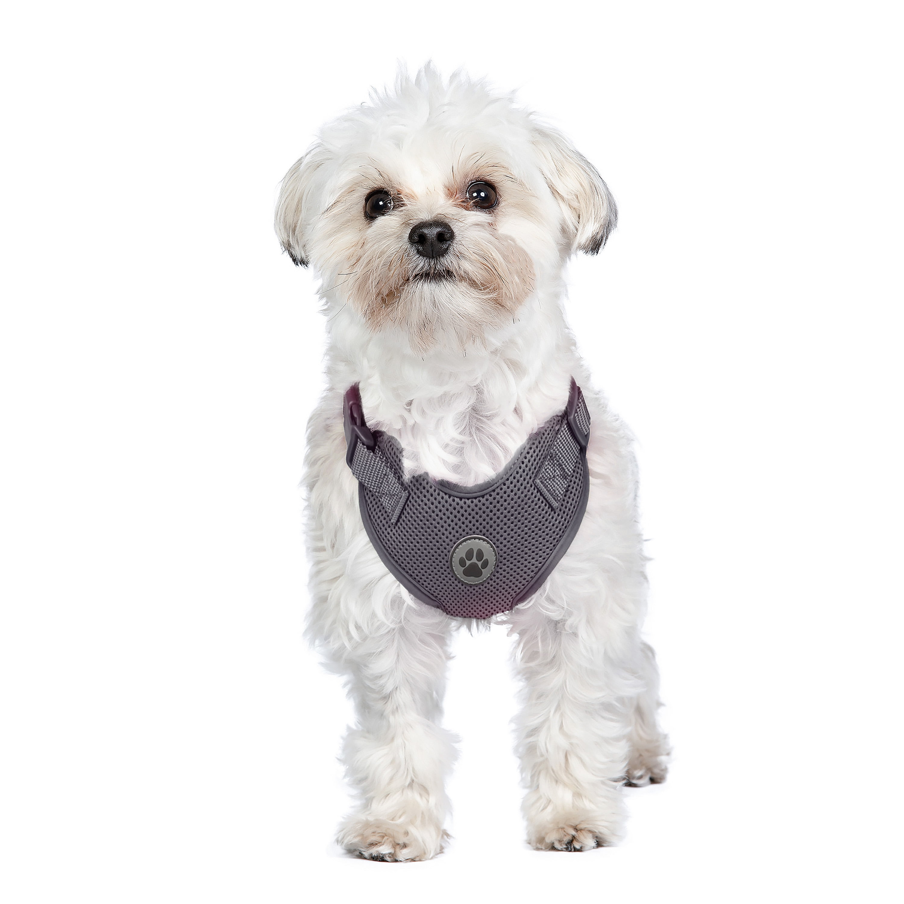 Vibrant Life Polyester Mesh Adjustable and Reflective Dog Walking Harness, Gray, XS